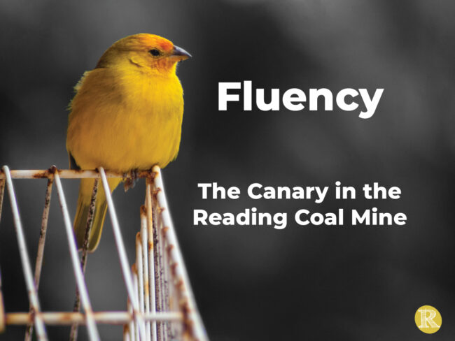 1200×900-canary