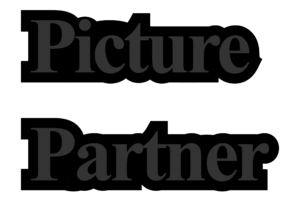 picture vs. partner