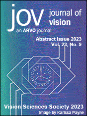 Journal of Vision, Abstract Issue 2023
