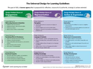 CAST UDL Guidelines 3.0 Graphic Organizer